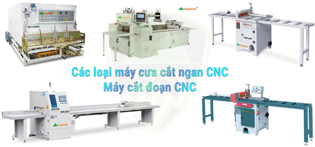 Tổng hợp các loại máy cưa cắt đoạn từ cơ bản tới hiện đại