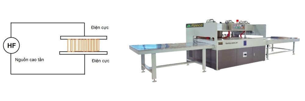 gia nhiệt có chọn lọc