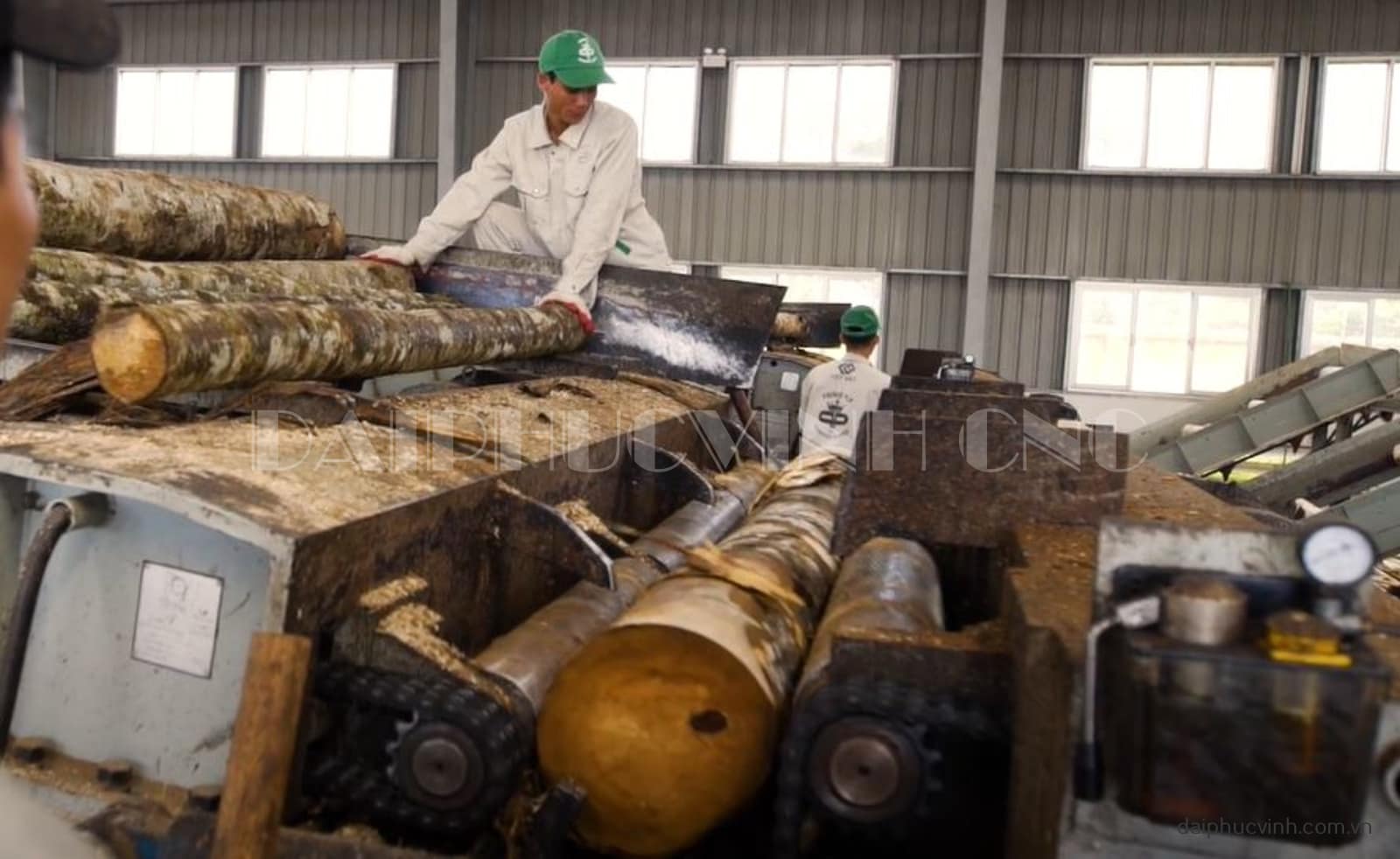 Bước 2 tu bóc vỏ