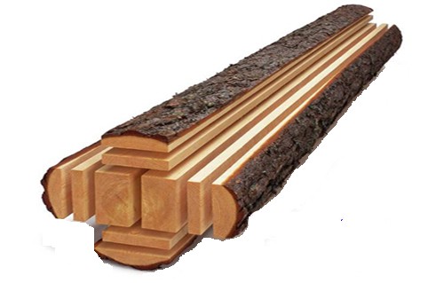 minh họa lấy phôi gỗ từ thân cây