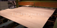 Giải Pháp Phủ Veneer & Laminate Tối Ưu Trên Dây Chuyền Plywood HOLZTEK 9244