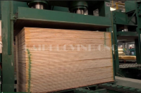 Giải Pháp Phủ Veneer & Laminate Tối Ưu Trên Dây Chuyền Plywood HOLZTEK 9247