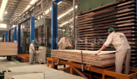 Giải Pháp Phủ Veneer & Laminate Tối Ưu Trên Dây Chuyền Plywood HOLZTEK 9248