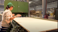 Giải Pháp Phủ Veneer & Laminate Tối Ưu Trên Dây Chuyền Plywood HOLZTEK 9250