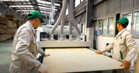 Giải Pháp Phủ Veneer & Laminate Tối Ưu Trên Dây Chuyền Plywood HOLZTEK 9251