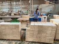 Tối Ưu Gia Công Mộng Gỗ với Máy Làm Mộng Mang Cá CNC WOODMASTER Chính Hãng 5328