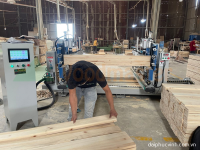 Máy Chế Biến Gỗ Tự Động 2 Đầu 2500mm - Giải Pháp Cắt Khoan Phay Tiết Kiệm Chi Phí 6307