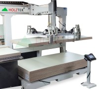 Máy Gắp Ván Gỗ Tự Động Holztek: Giải Pháp Tối Ưu Cho Dây Chuyền Chế Biến Gỗ 6379