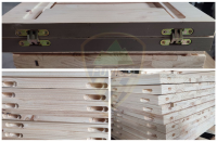 Đầu Tư Máy Đục Ổ Khóa Woodmaster - Tăng Năng Suất, Tối Ưu Lợi Nhuận 14063