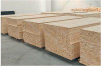 Máy Ghép Cao Tần WM-2513JHF-FA Băng Tải Full Auto - Woodmaster Chuyên Chế Biến Gỗ Nội Thất 14046