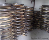 Thiết Bị Chế Biến Gỗ WM-DR10: Máy Sấy Chân Không Và Hấp Làm Mềm 13819