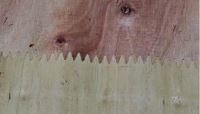 Thông Số Kỹ Thuật Máy Cắt Nối Veneer Woodmaster WM-48VFJ 14418