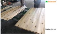 Lắp Đặt Dây Chuyền Bóc Gỗ Woodmaster WM-PL1300FD Công Suất Cao 14414