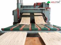 Báo giá máy sấy ván lạng 3 tầng Holztek HT-2800VDR3 | Hiệu suất cao 7159