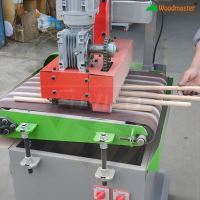 Hướng Dẫn Chọn Máy Chà Nhám Tự Động Woodmaster WM-400MRS 14448