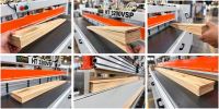 Thông Số Kỹ Thuật Máy Phay Thẩm Cạnh Veneer Holztek HT-3200VSP 11868