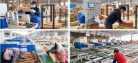 Đánh giá Máy Cưa Rong Bìa Woodmaster MJ-Q5: Hiệu Suất & Thông Số 8712