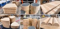 Thông số & Giá Máy Xén Veneer 2 Dao HT-3350DK Woodmaster 8715