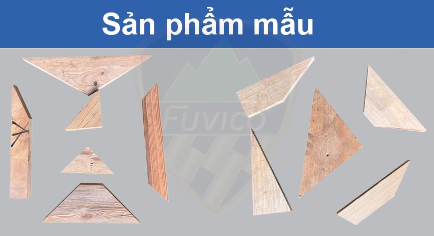 Đánh Giá Máy Cưa Cắt Gỗ Đa Độ WM-150MCS: Tối Ưu Hóa Sản Xuất Gỗ Tự Động 13861